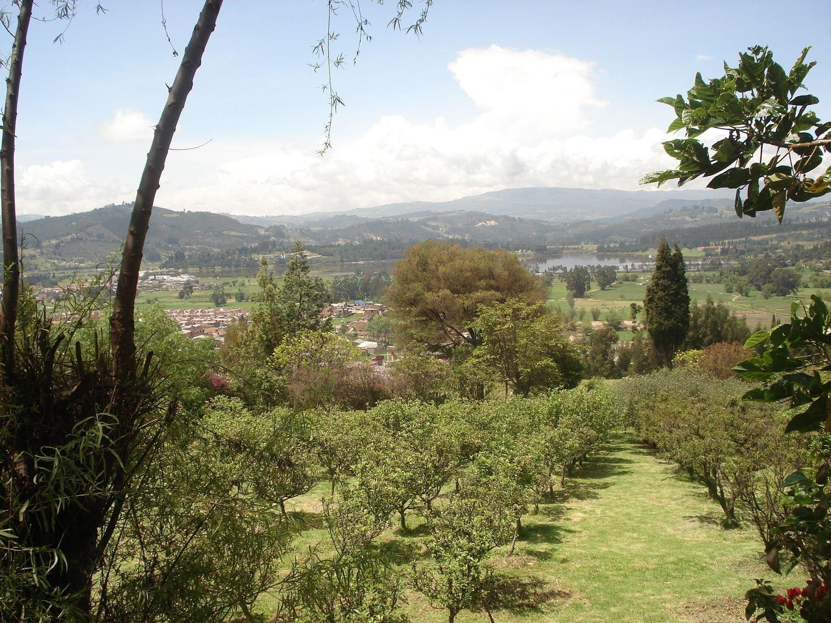 Vista Exterior Miravalle Suites