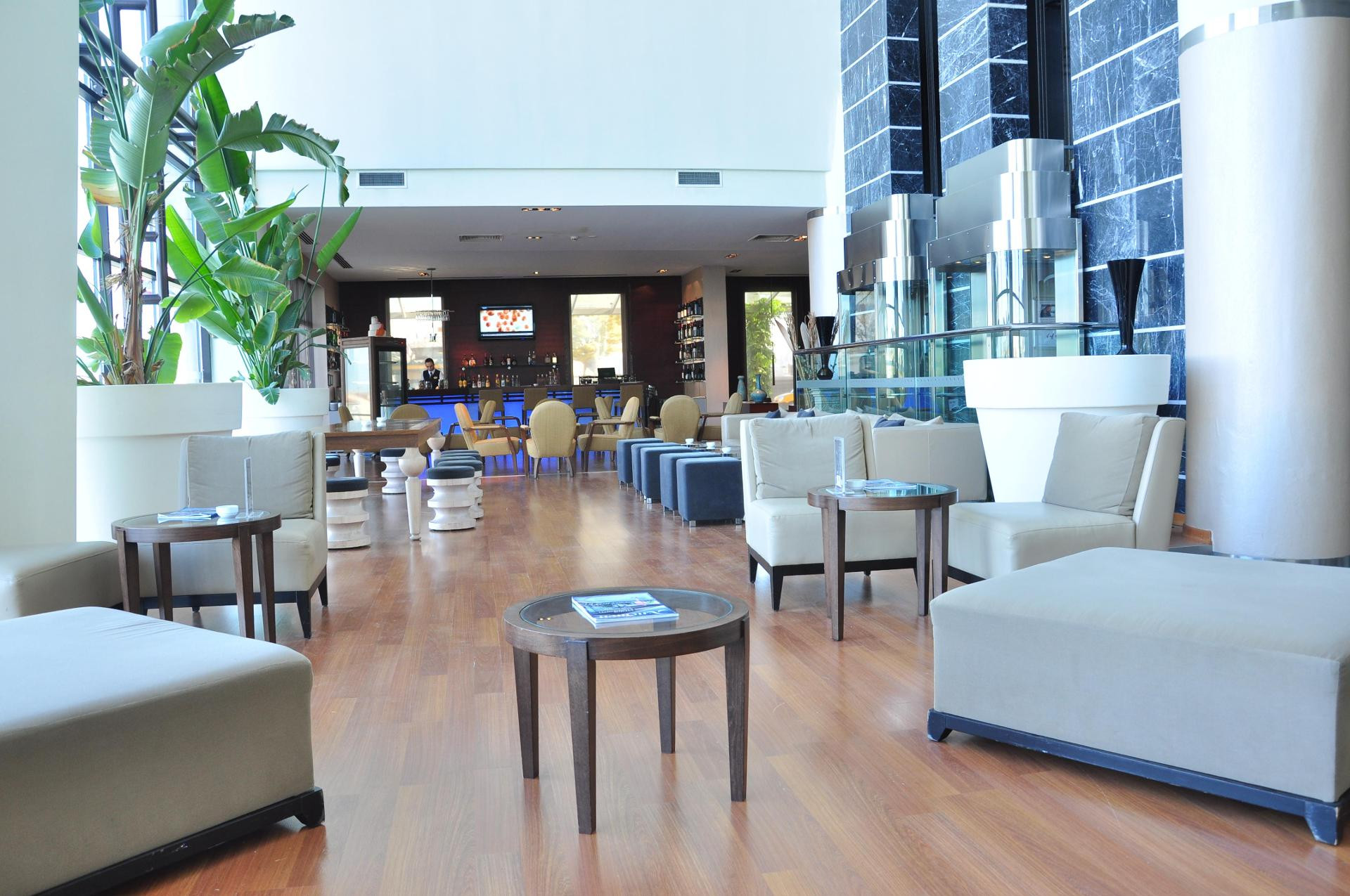 Vista Lobby Anemon Grand Eskisehir Hotel