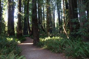 Alojamiento - Oceanfront Lodge