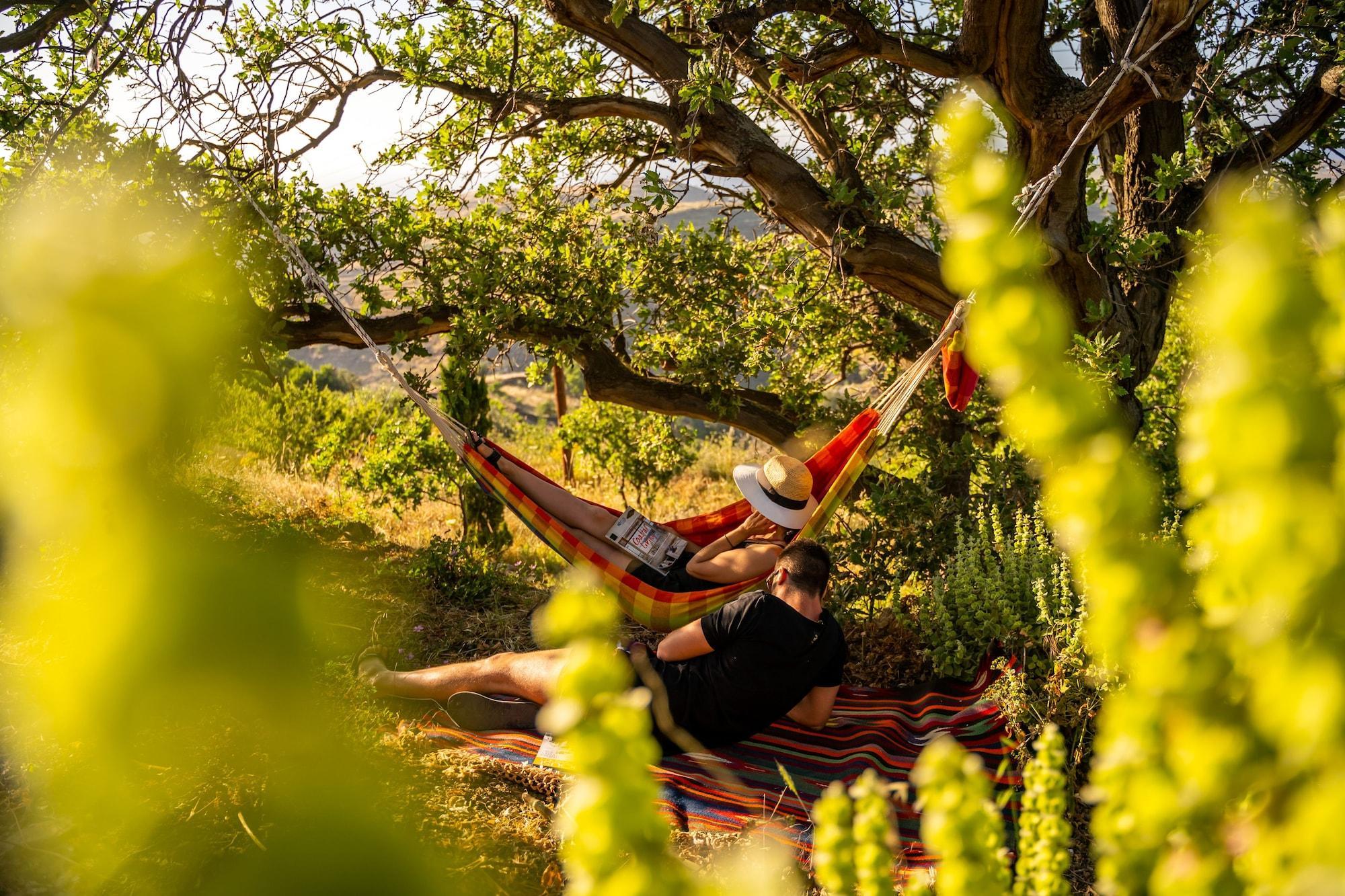 Vista Exterior Agrikea