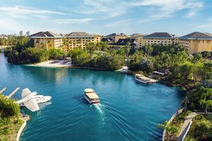 Alojamiento - Loews Royal Pacific Resort