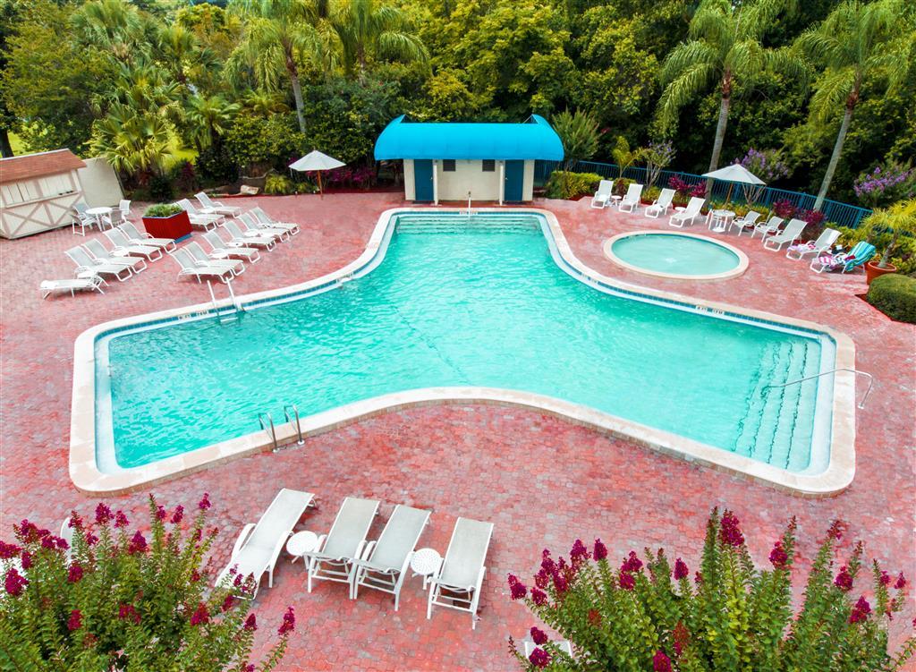 Vista Piscina Drury Plaza Hotel Orlando - Disney Springs Area