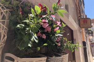 Alojamiento - De Nittis Bed & Breakfast