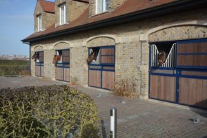 Alojamiento - PS Orion