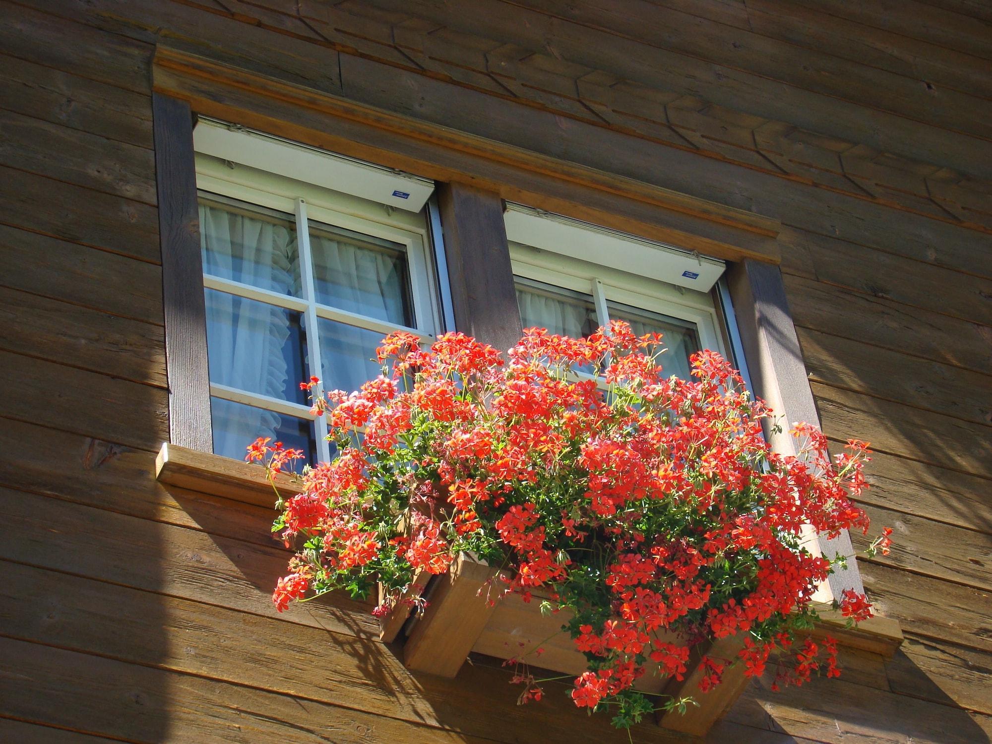 Vista Exterior Arcade Apartments
