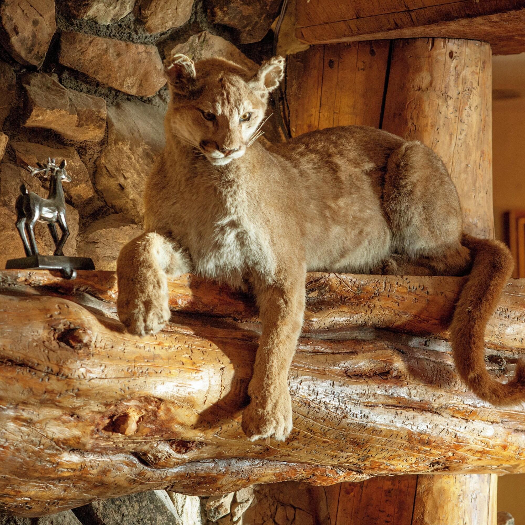 Vista Lobby Snake River Lodge - Amenities at Sister Property