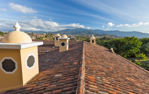 Jungla Urbana BnB - Adults Only