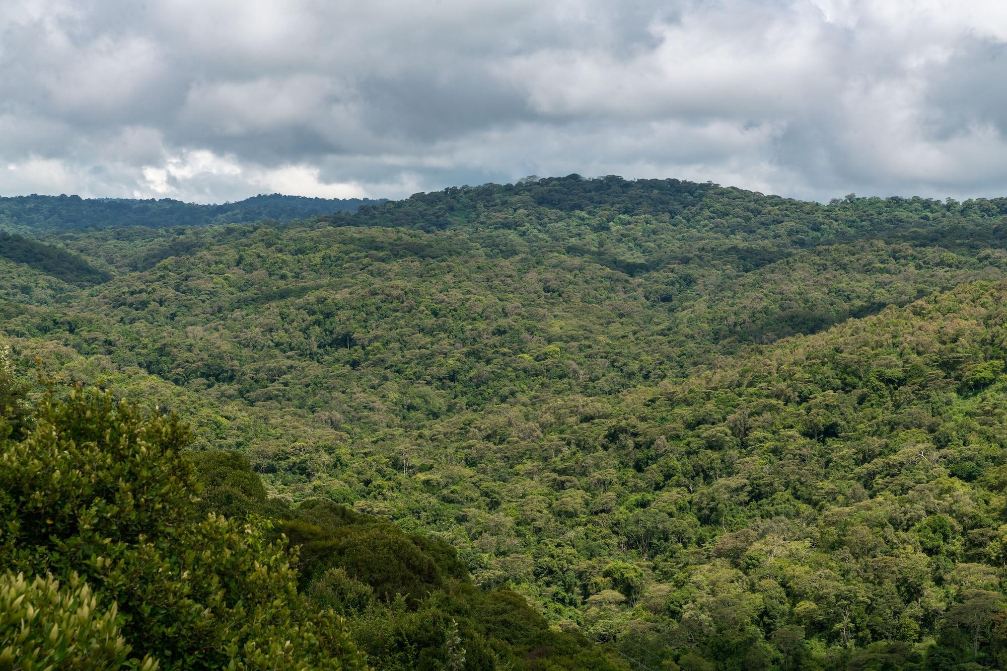 Vista Exterior Ngorongoro Forest Tented Lodge