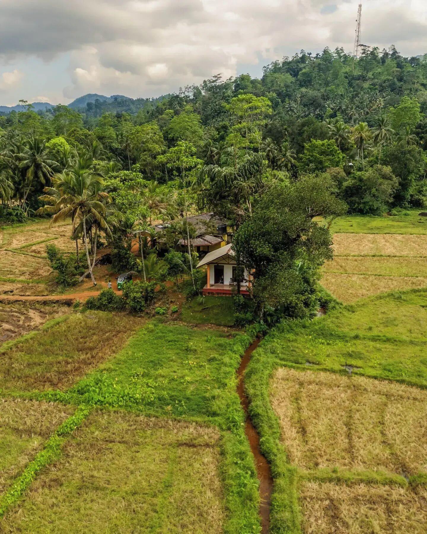Vista Exterior Forest & Fields Sinharaja