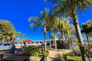 Alojamiento - Seven Inn