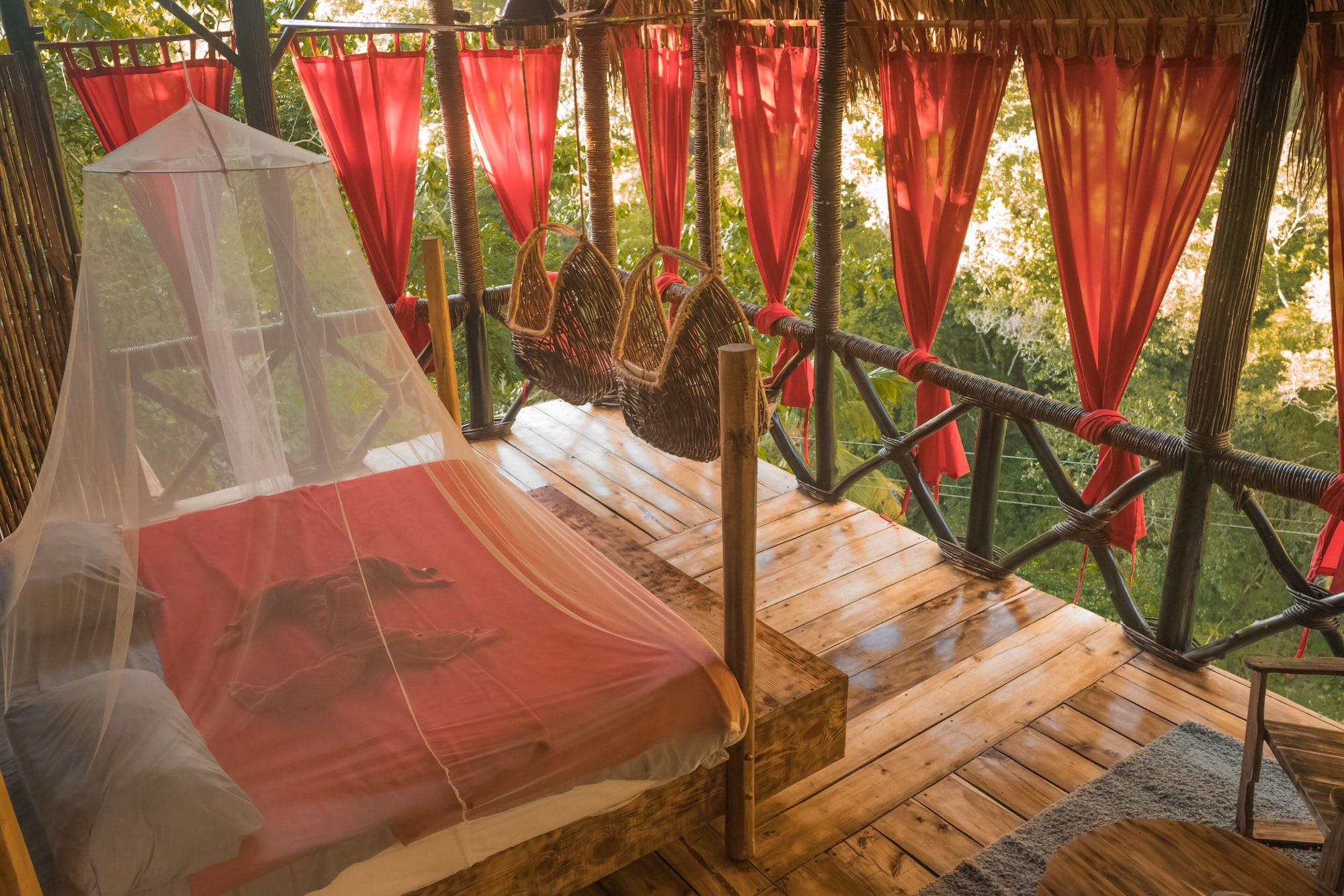 Habitación Dominican Tree House