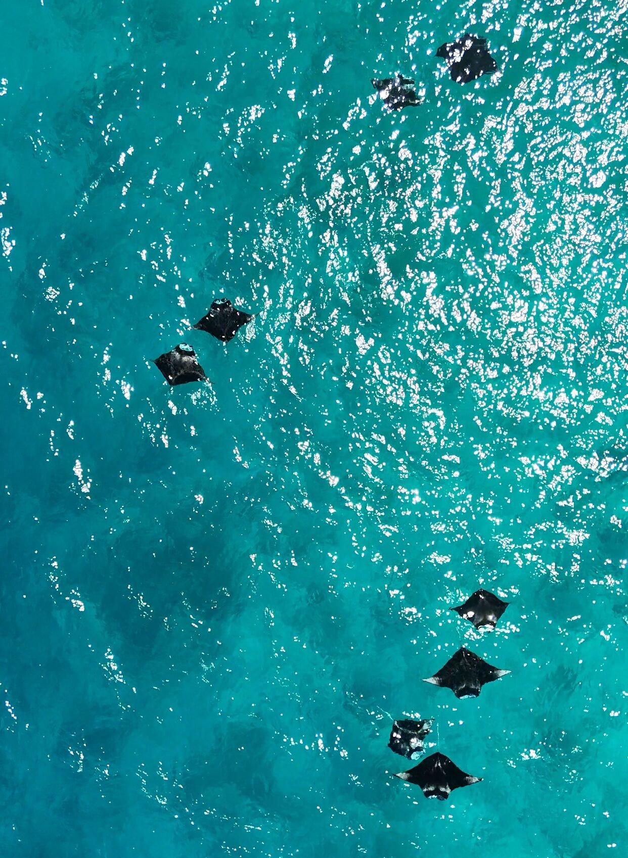 Instalaciones Recreativas Raalhu Fonu Maldives