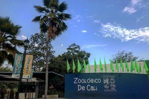 Alojamiento - Hotel Toscana Plaza