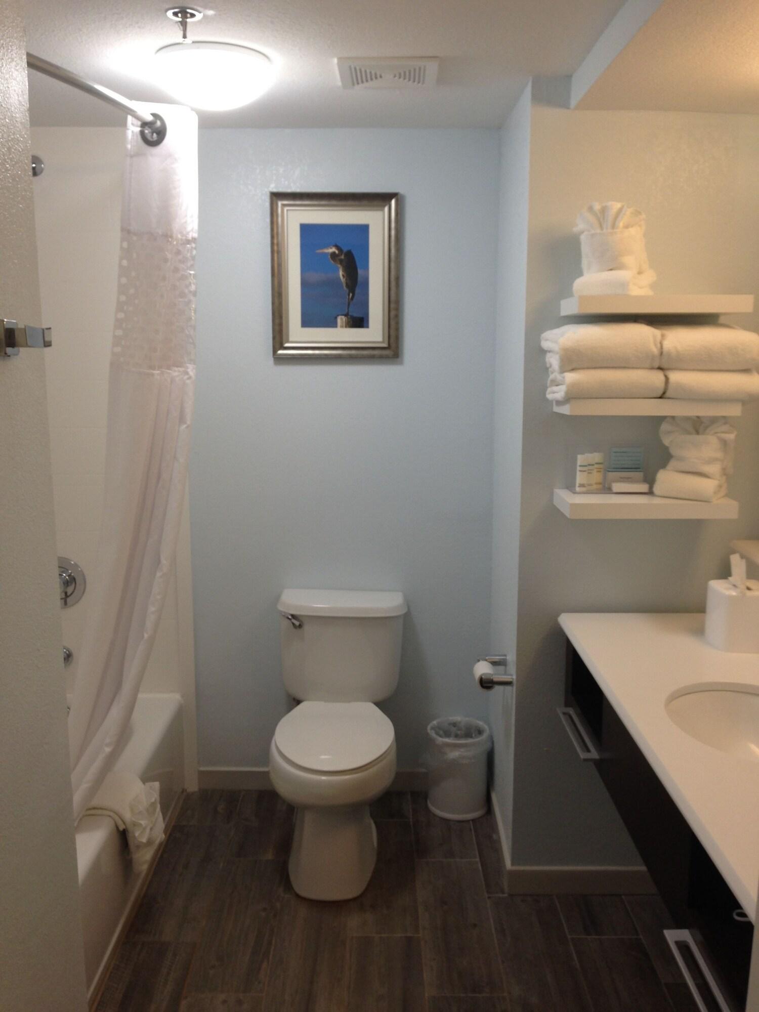 Habitación Hampton Inn Tampa/Rocky Point-Airport
