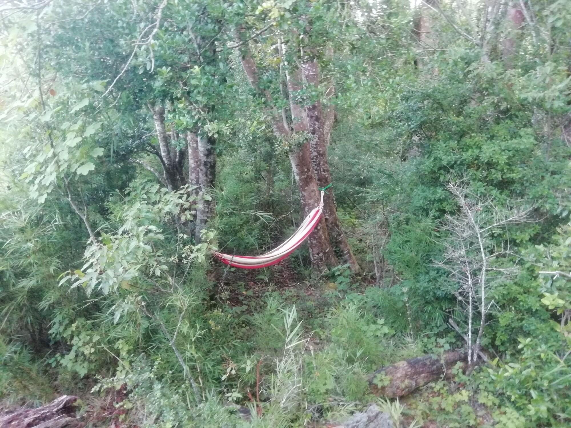 Vista Exterior Entre Pampa y Bosque