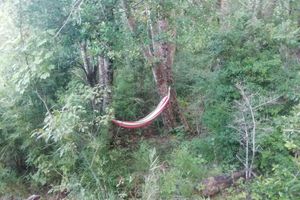 Alojamiento - Entre Pampa y Bosque