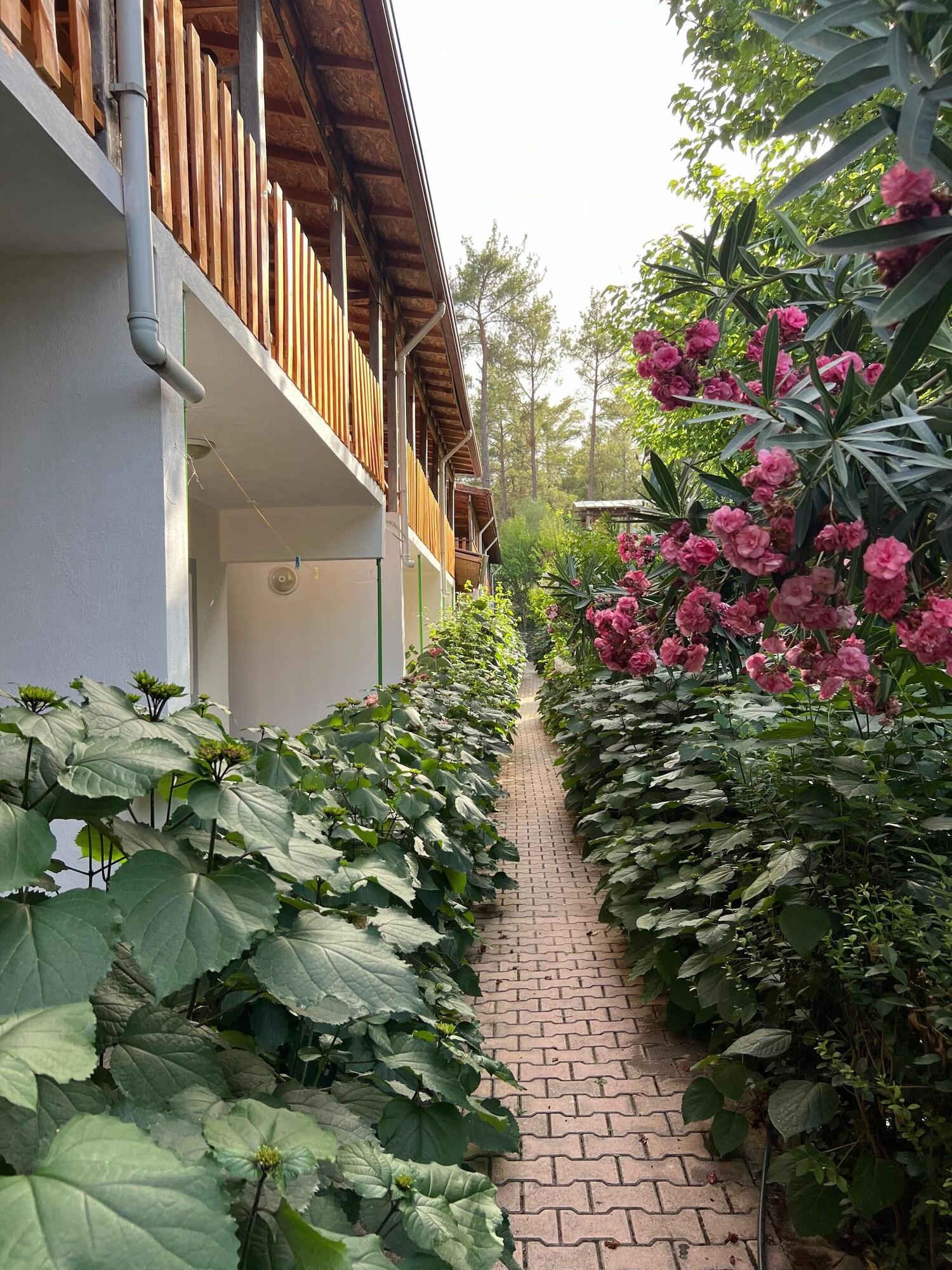 Vista Exterior Asmalı Köşk Pansiyon