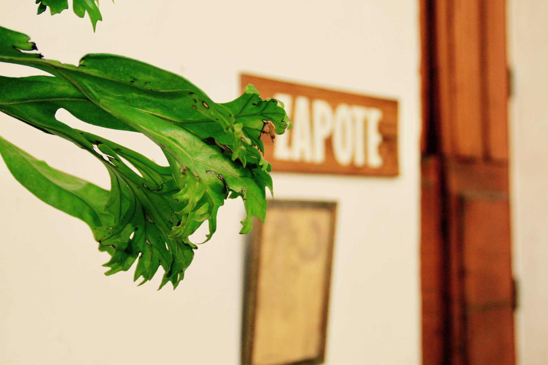 Varios Hotel Escuela El Habitante