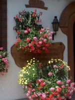 Alojamiento - Hotel Gletschergarten