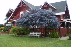 Alojamiento - Hostal Möller