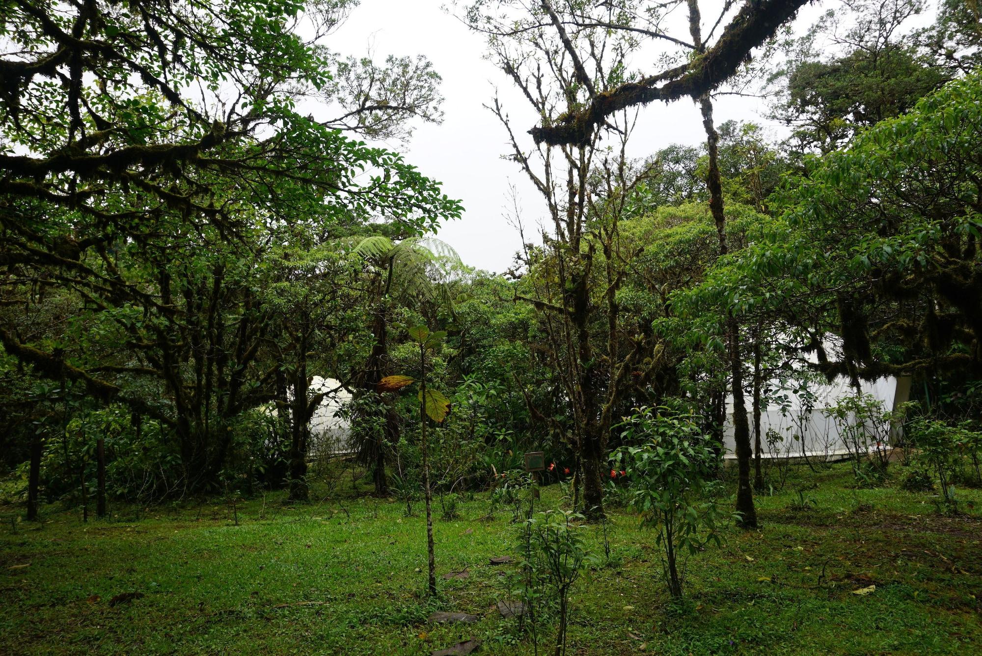 Vista Exterior El Refugio La Paz Eco Glamping