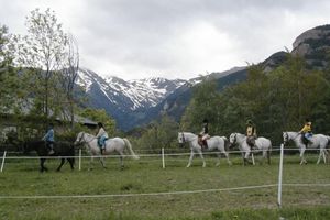 Actividad - Centro Ecuestre L'Aldosa