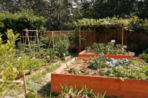 Alojamiento - Villa Oasi