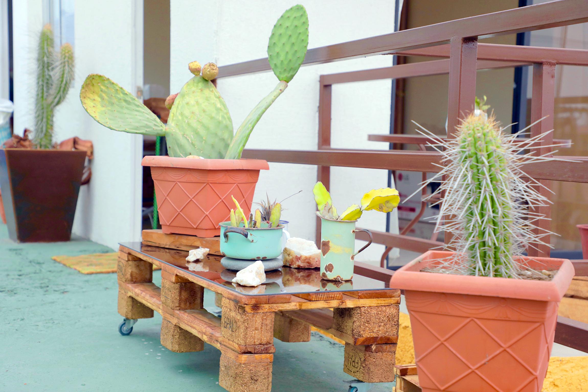 Varios Hotel Mediterráneo