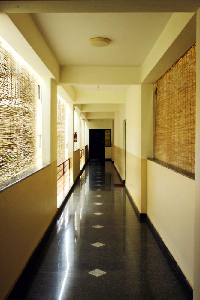 Varios The Green Path Eco