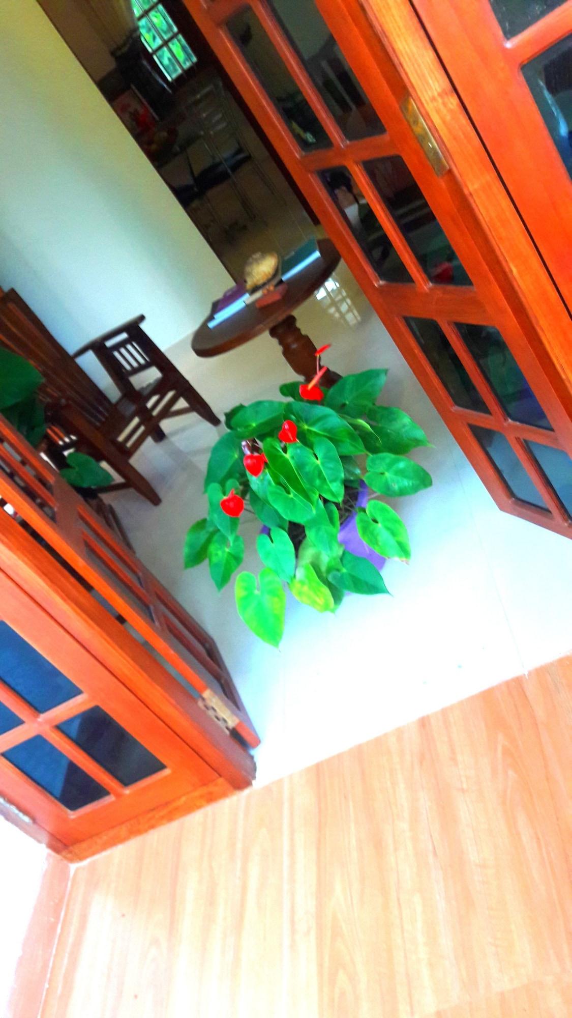 Vista Lobby Fresh Air Villa Guest House