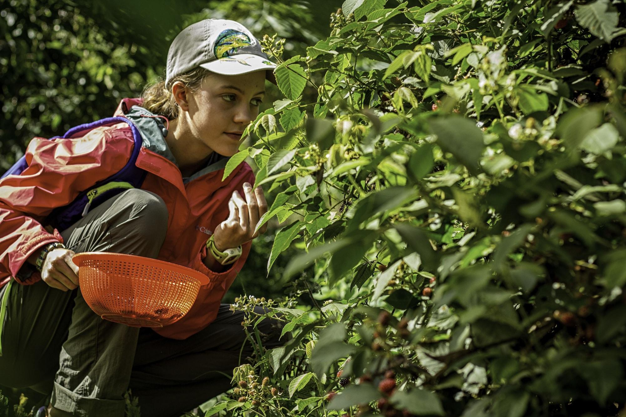 Instalaciones Recreativas Cedrela Ecolodge