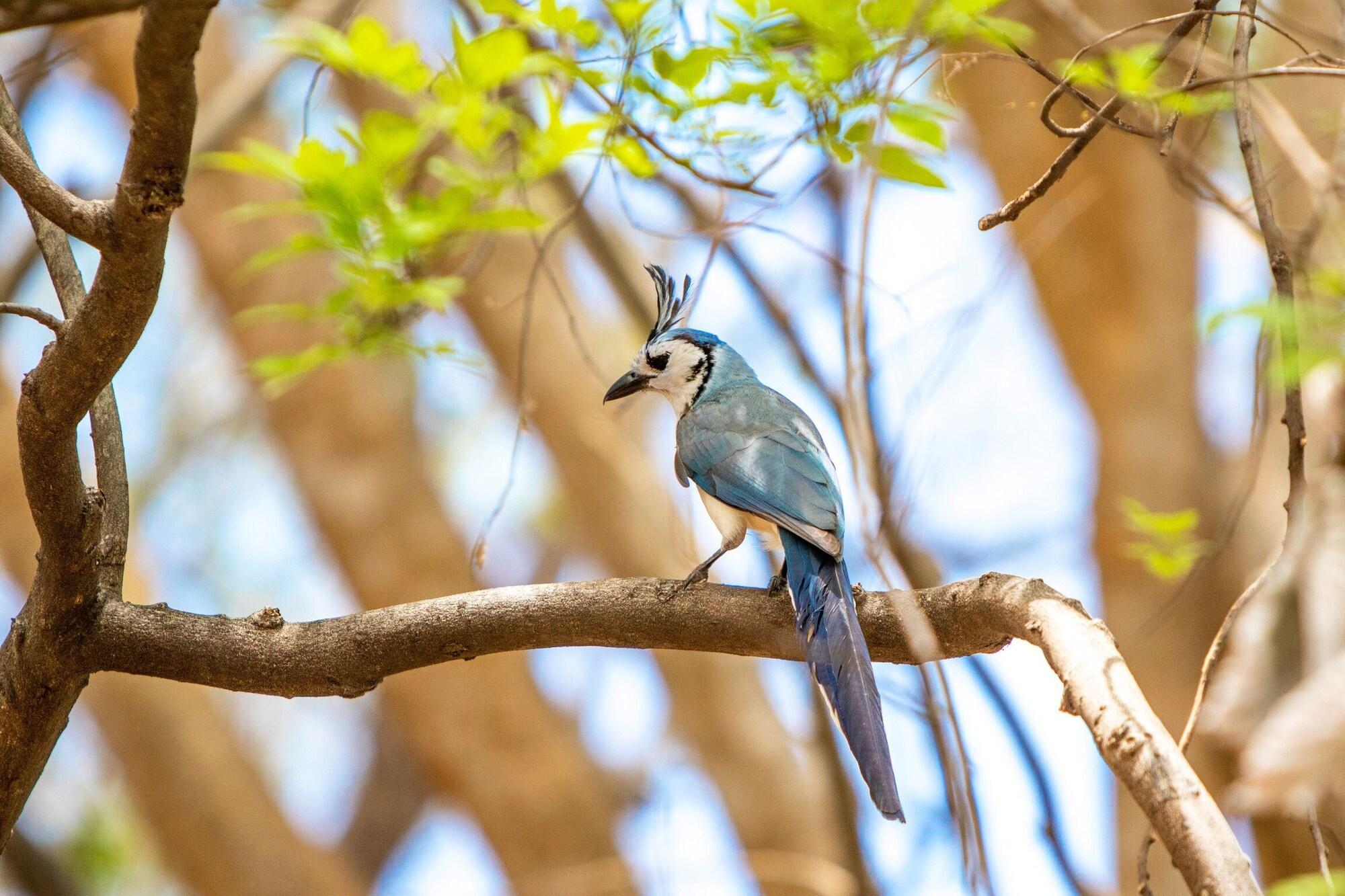 Vista Exterior Hotel Villas Playa Hermosa