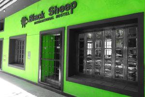 Alojamiento - Black Sheep International Hostel