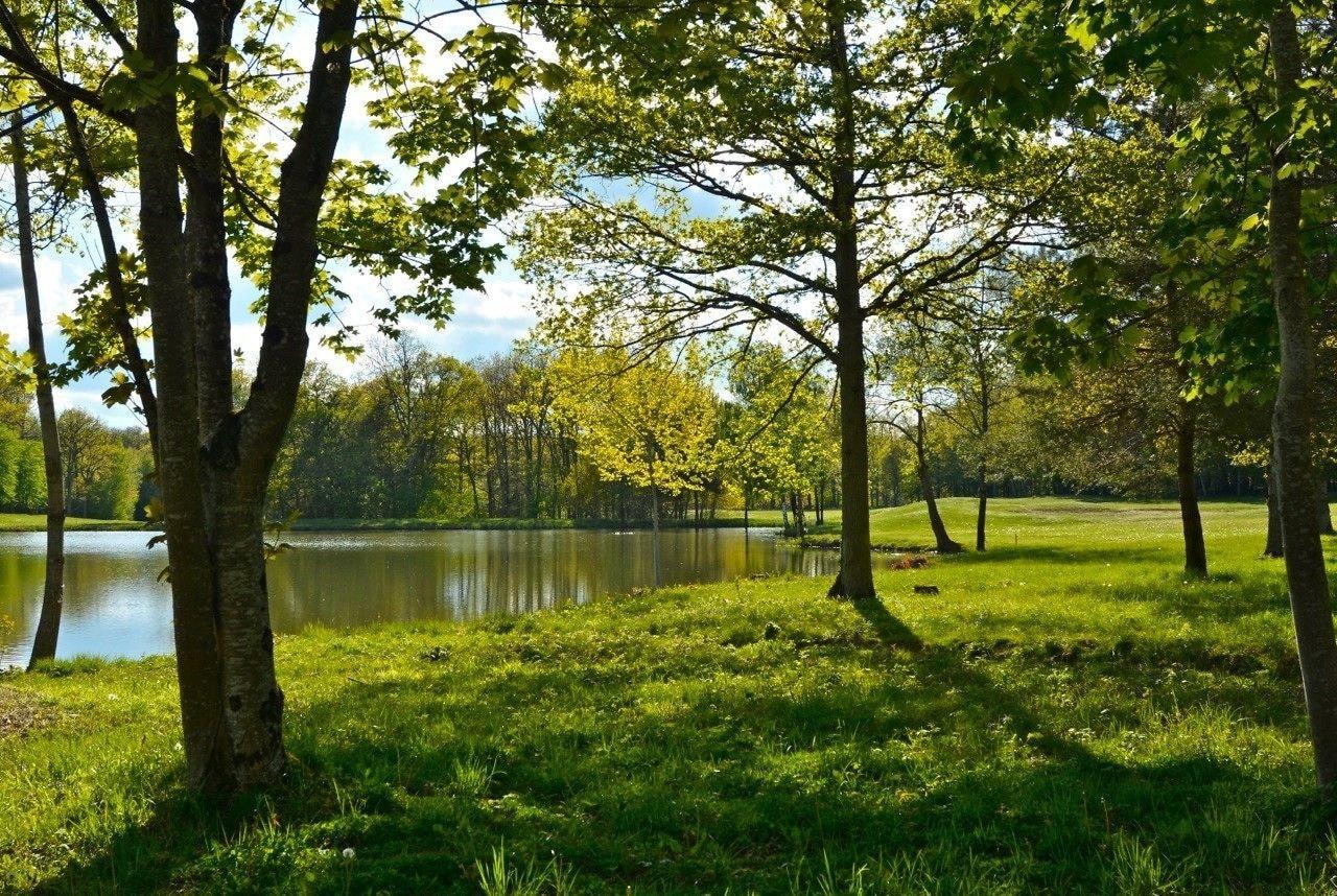 Campo de Golf Domaine Et Golf Du Roncemay