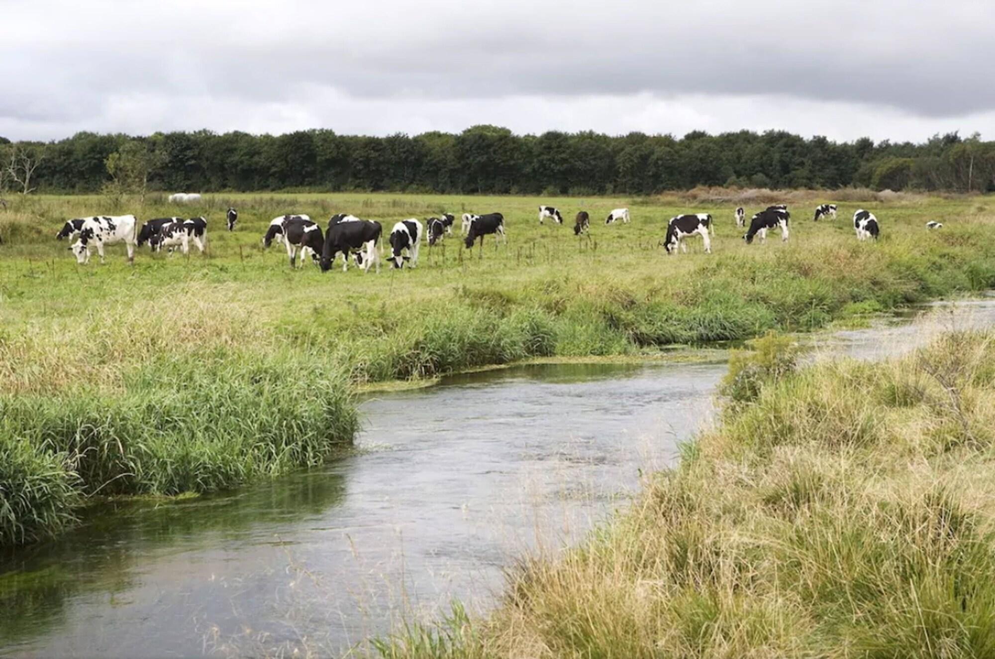 Vista Exterior Hotel Hedemarken