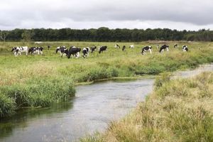 Alojamiento - Hotel Hedemarken