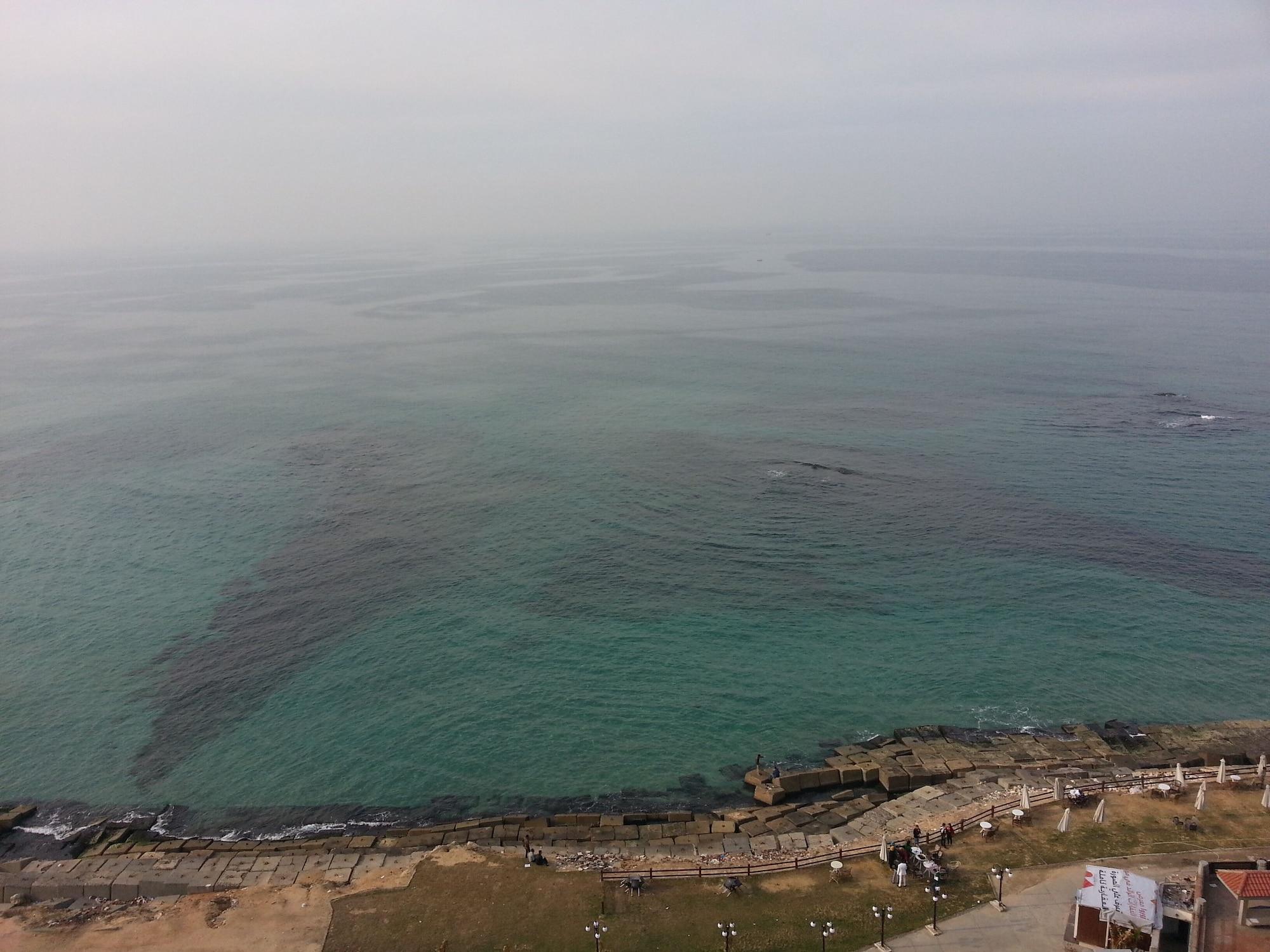 Playa Royal Crown Hotel