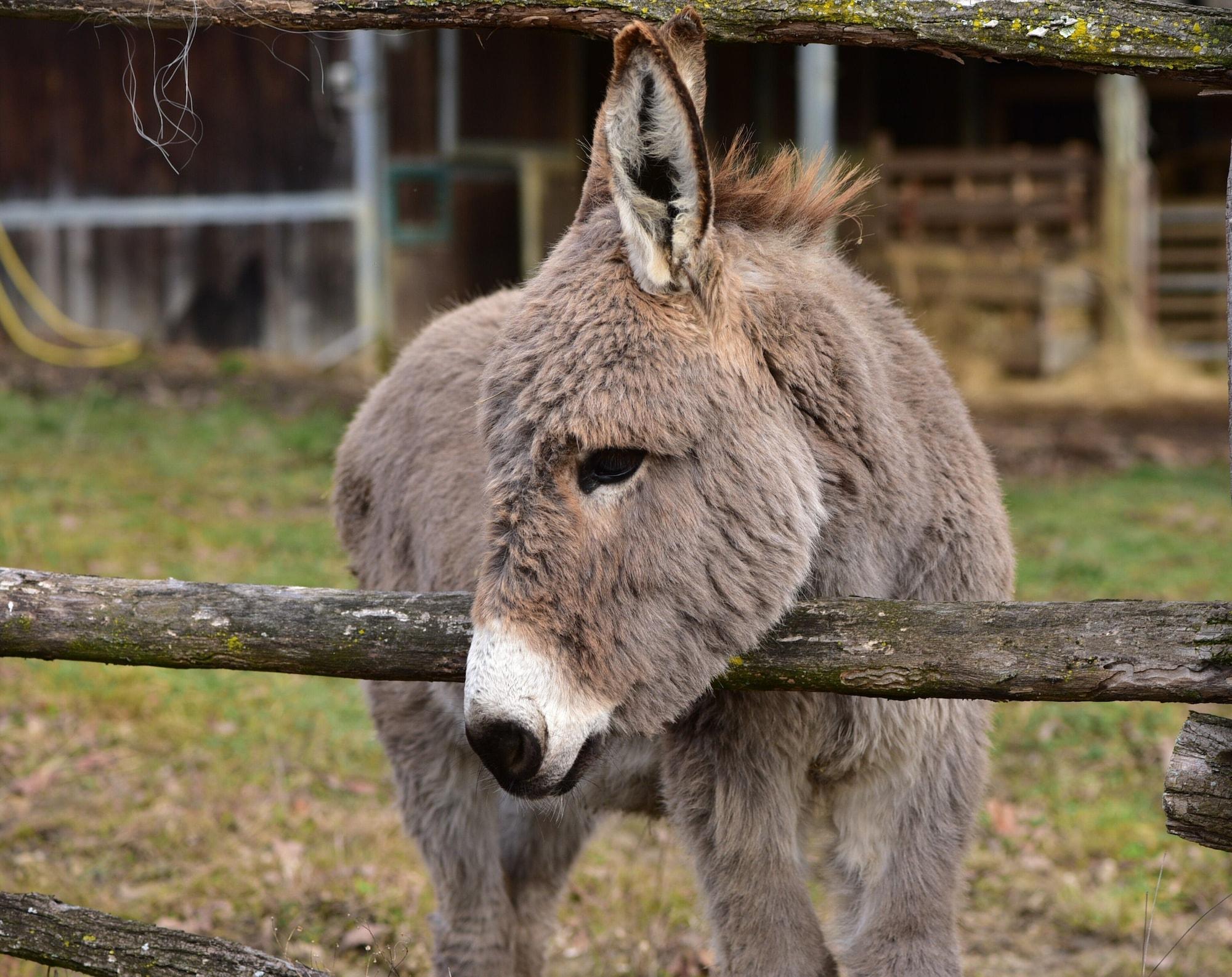Vista Exterior Tenuta Valdomini