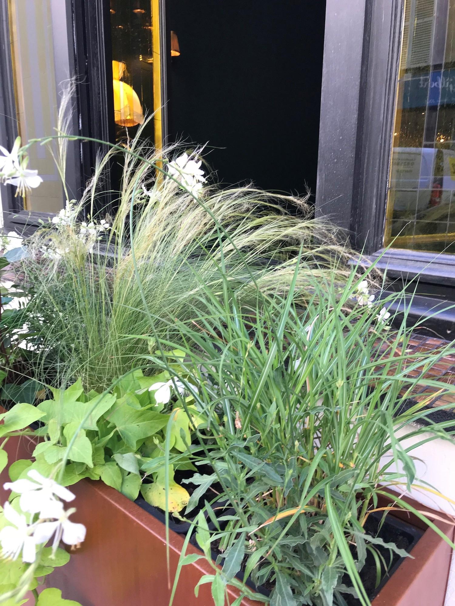 Vista Exterior La Mondaine