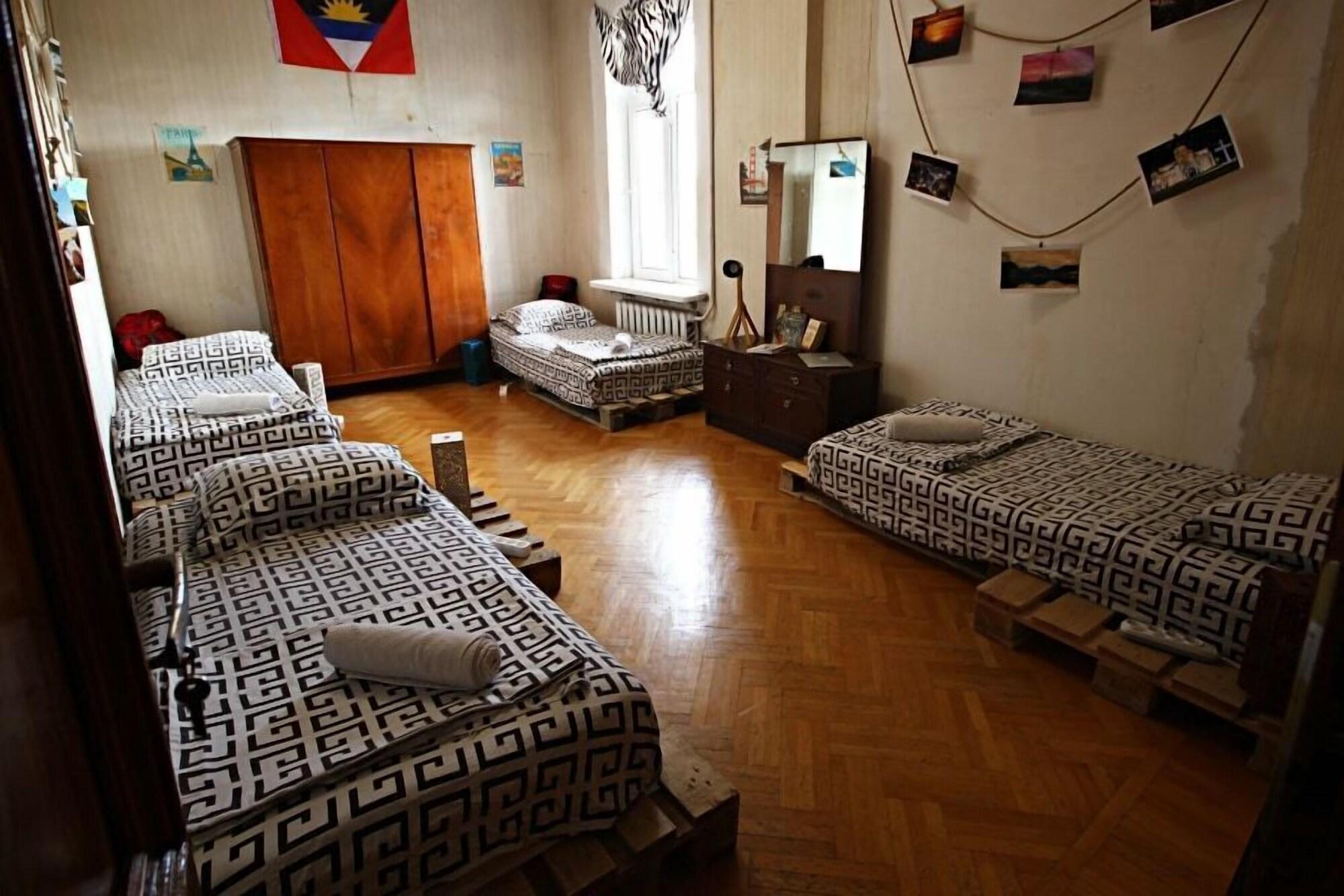 Habitación Dingo Backpackers Hostel