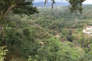 Alojamiento - Finca Santa Rosa