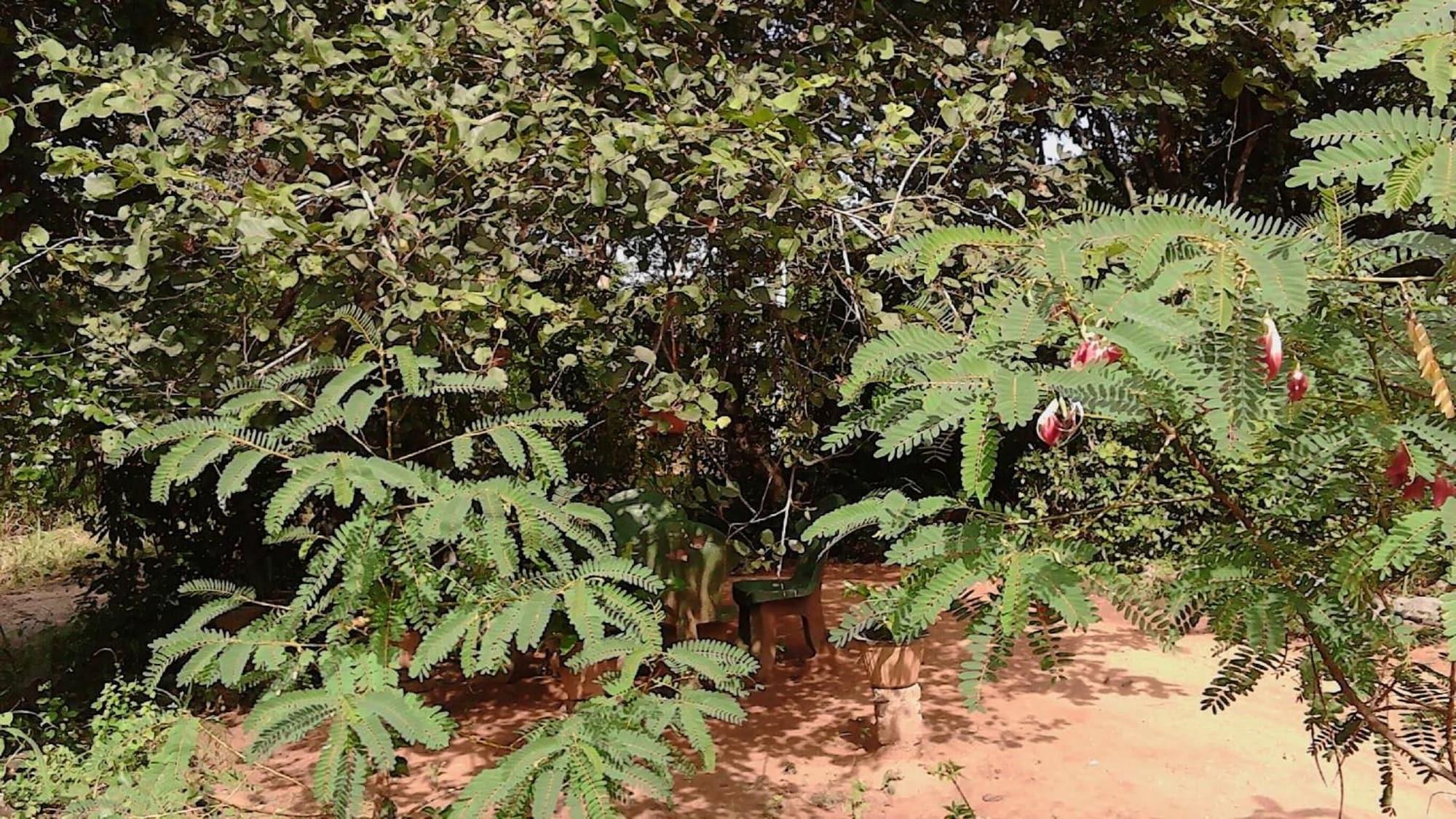 Comodidades del Alojamiento Sigiriya Vee Guest
