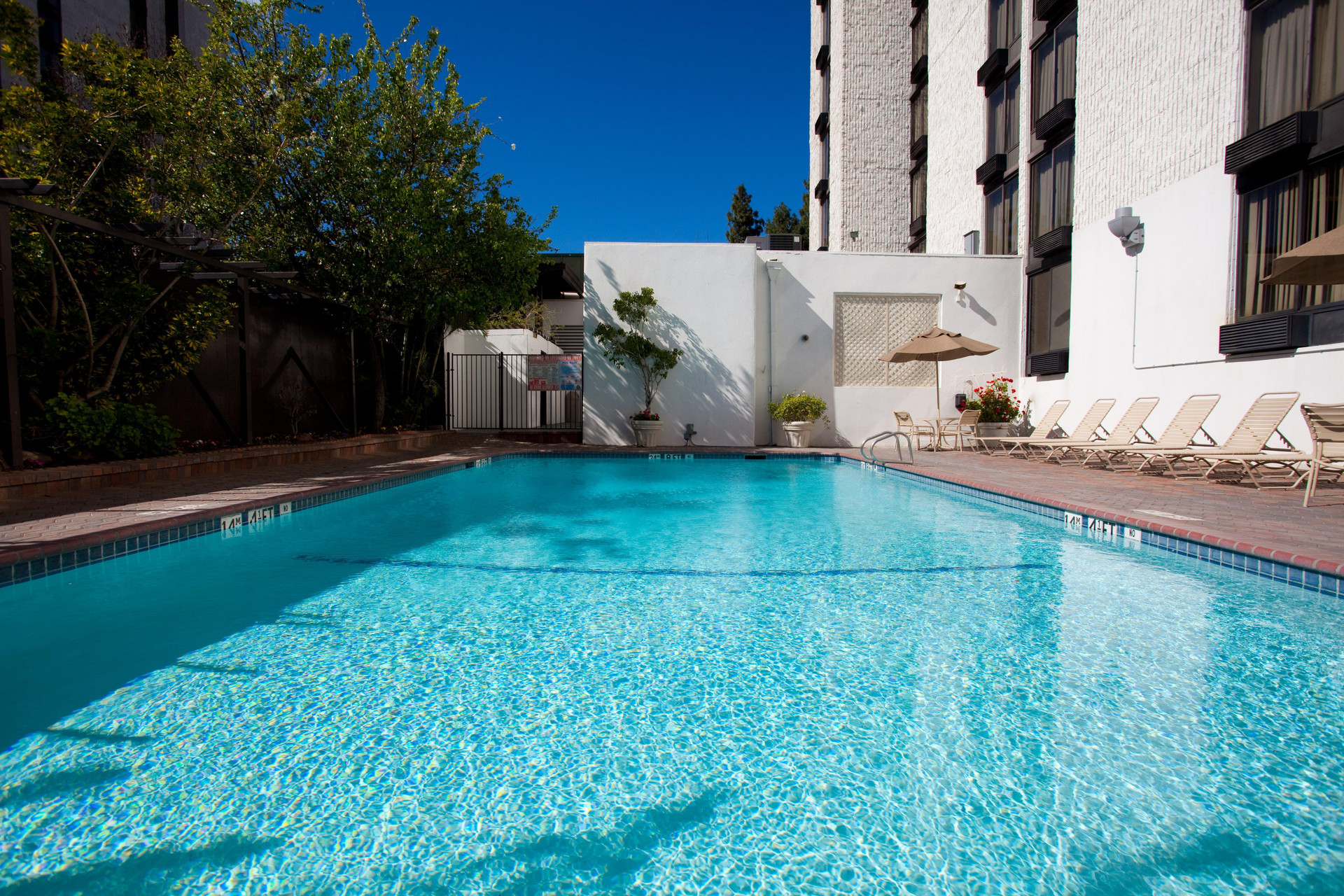 Vista Piscina Holiday Inn Burbank-Media Center