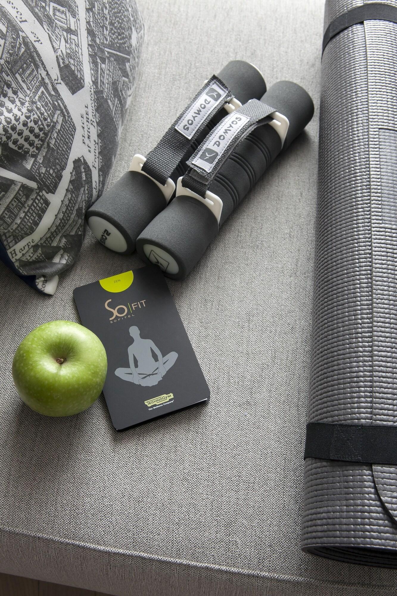 Instalaciones Recreativas Sofitel Paris Arc de Triomphe