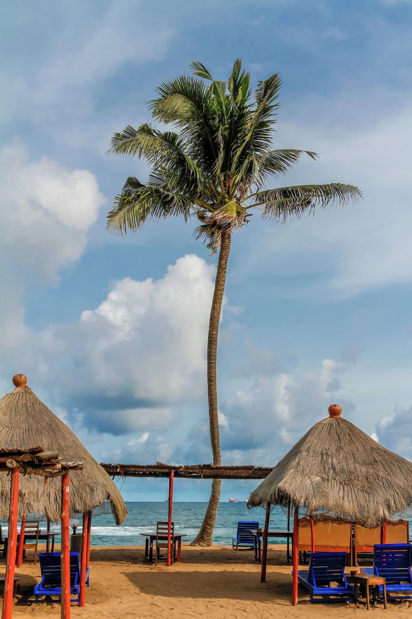 Playa New Robinson Plage