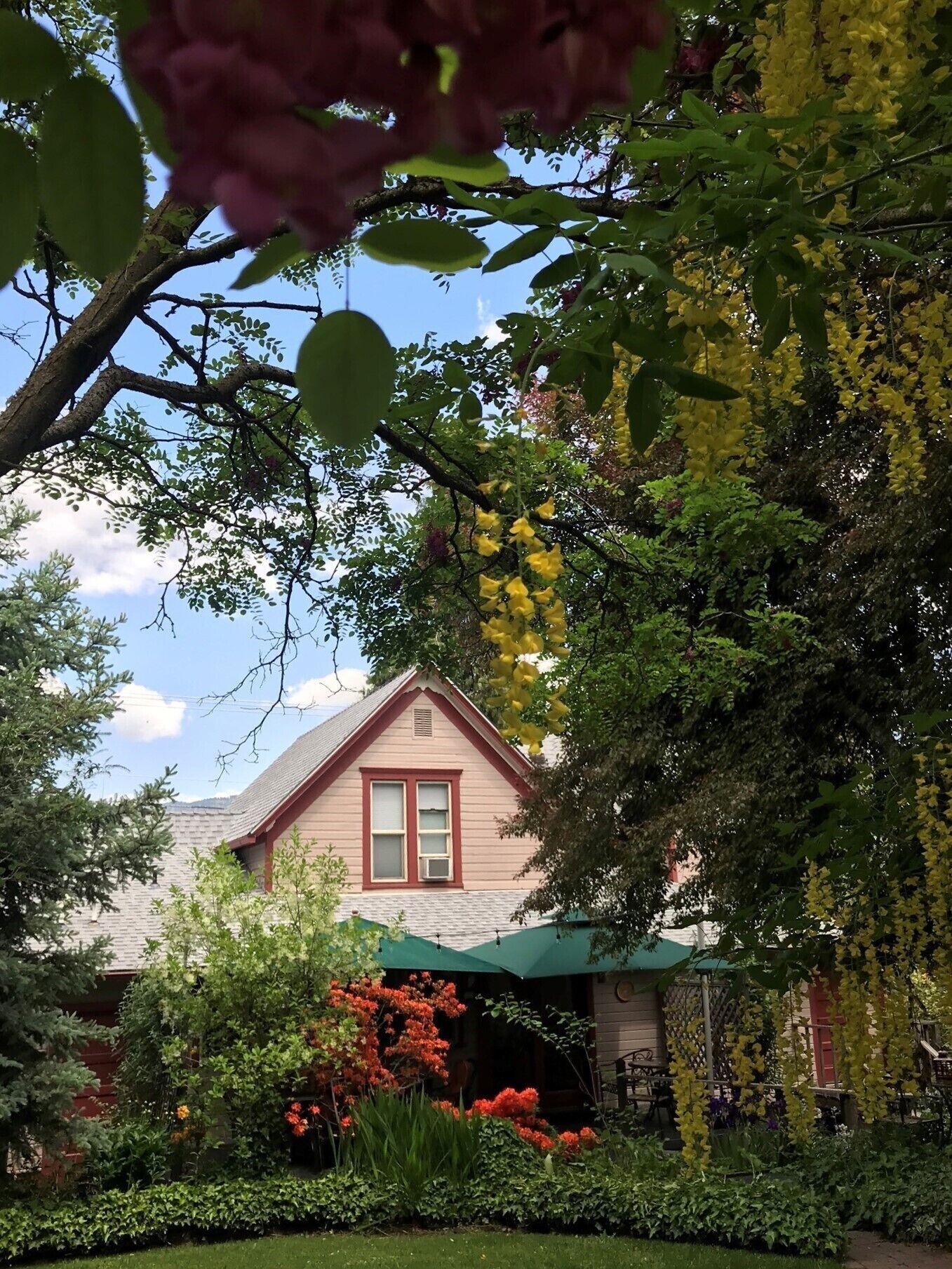 Comodidades del Alojamiento Arden Forest Inn