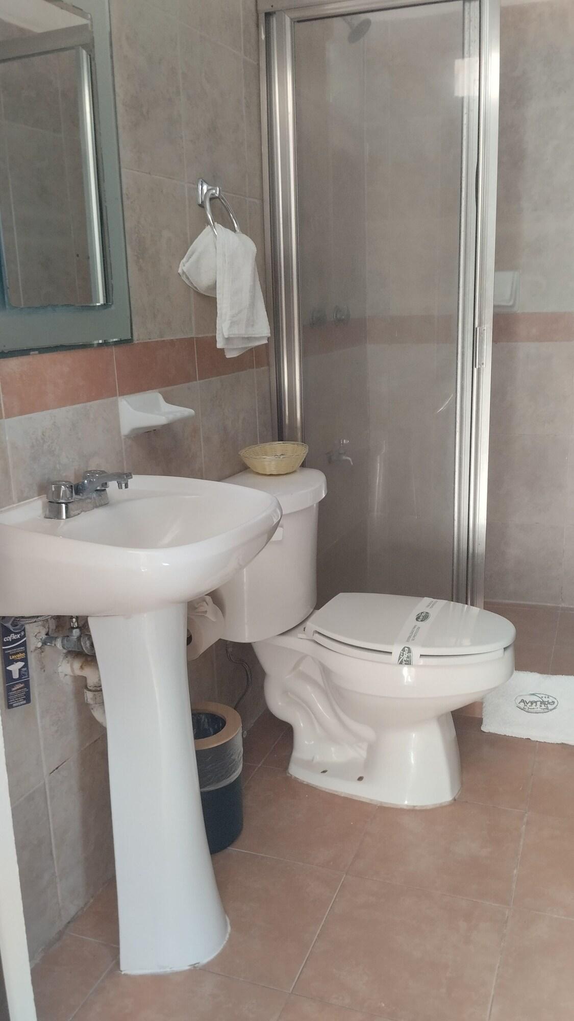 Equipamiento de Habitación Hotel Avenida