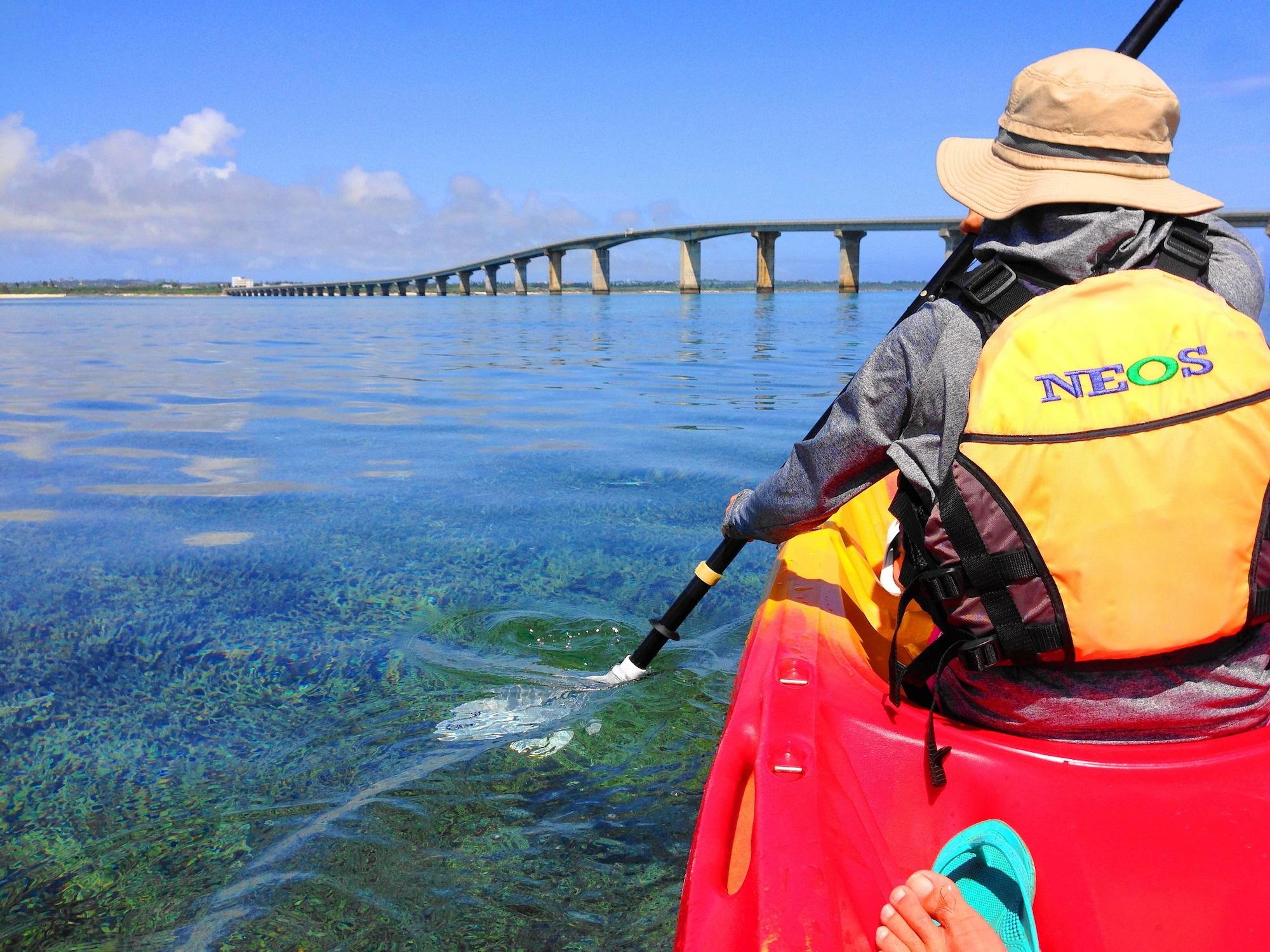 Instalaciones Recreativas Hotel Hibiscus - Hostel