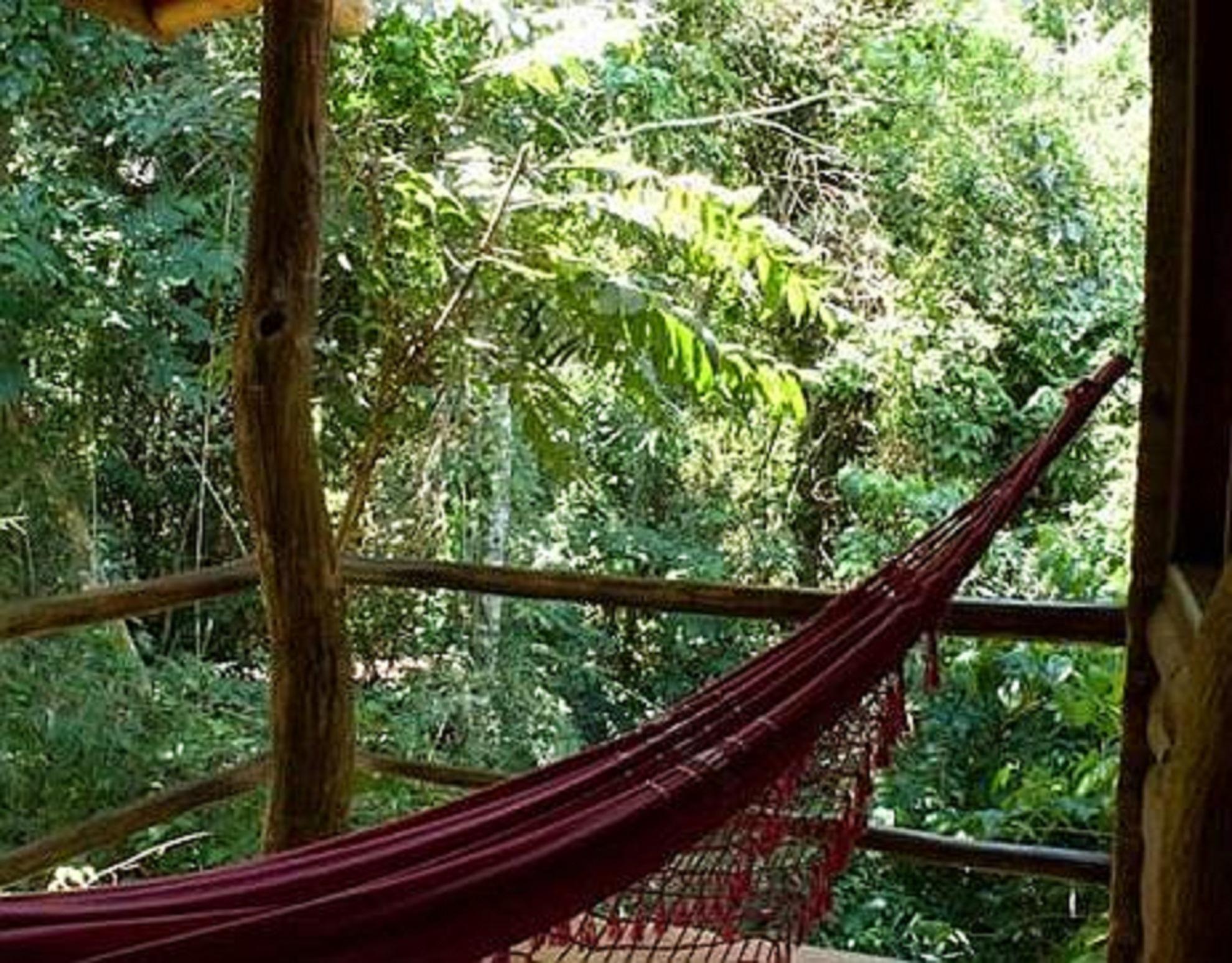 Vista Exterior La Aldea de la Selva Lodge