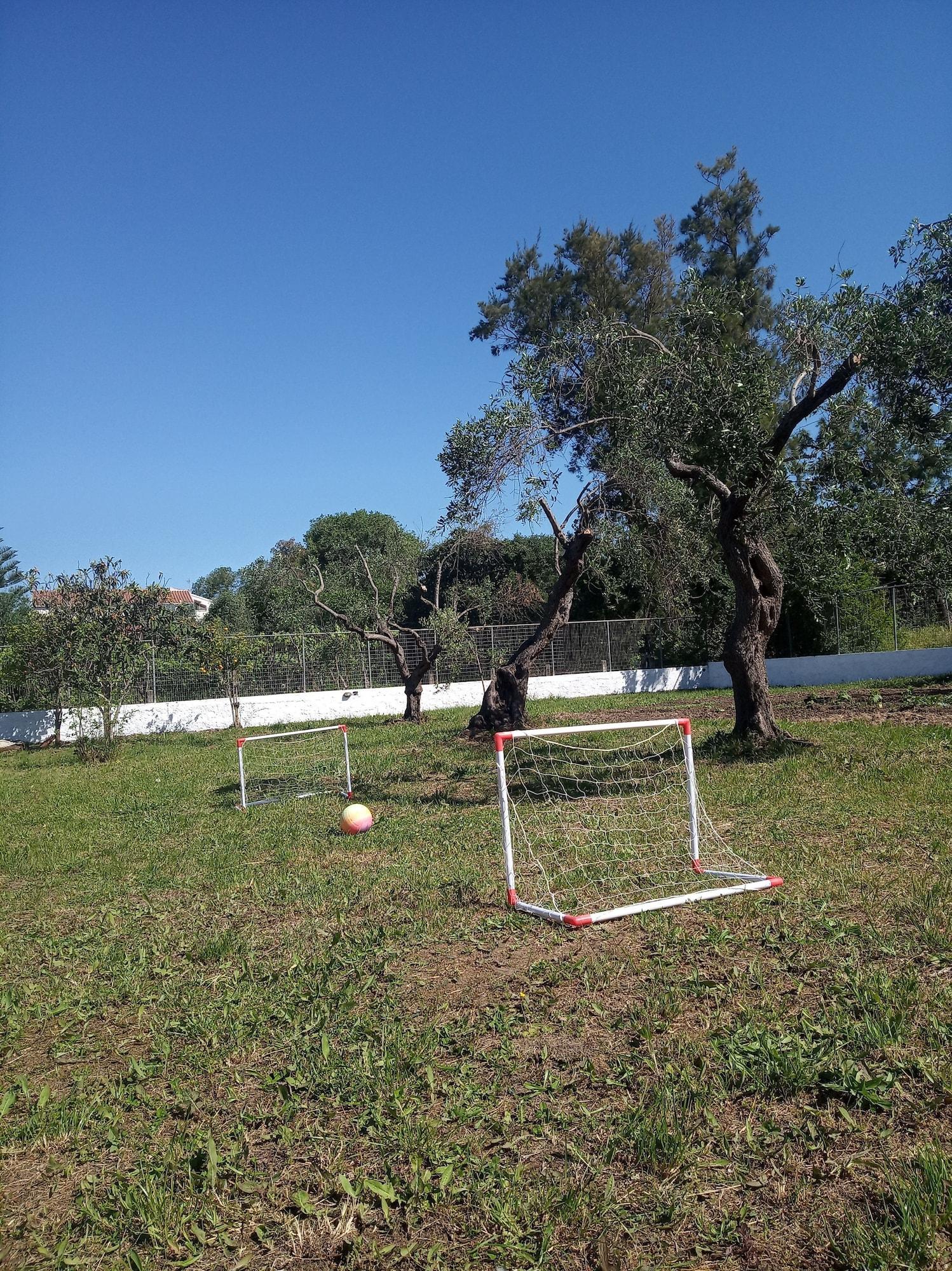 Instalaciones Recreativas Olive Garden Studios & Apts